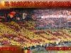 20110604defalchi.jpg