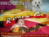 20080521benedetta.jpg