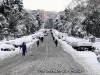 20120208battistini