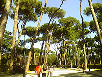 Villa Borghese - viali