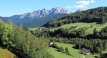 Brunico