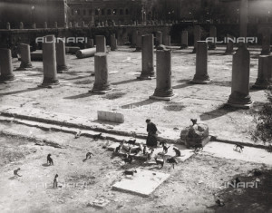 LLA-F-00R406-0000: Gattara nella Basilica Ulpia, Foro Romano, Roma, 1940-1950 ca., Archivio Leoni / Archivi Alinari