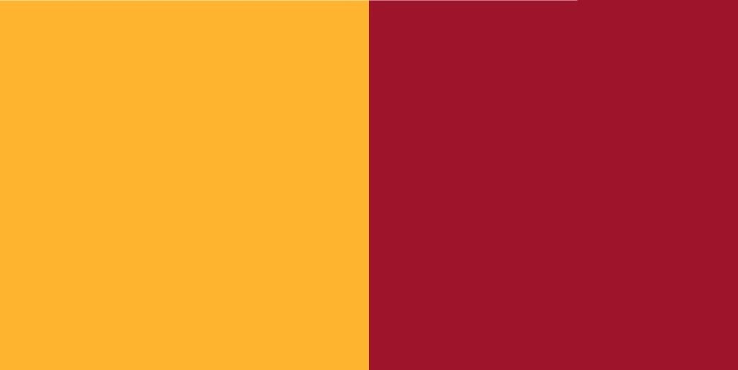 colori ufficiali ROMA