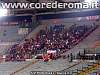 rm-vale_tifosi01.jpg